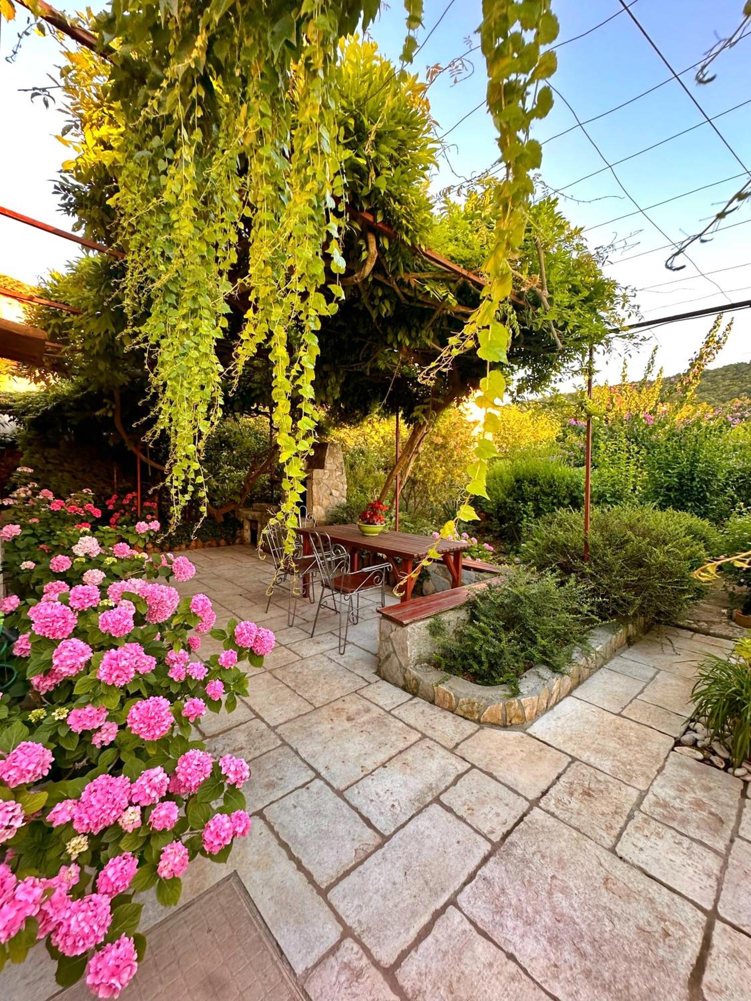 וולי לוסיניי Apartments Cvita מראה חיצוני תמונה