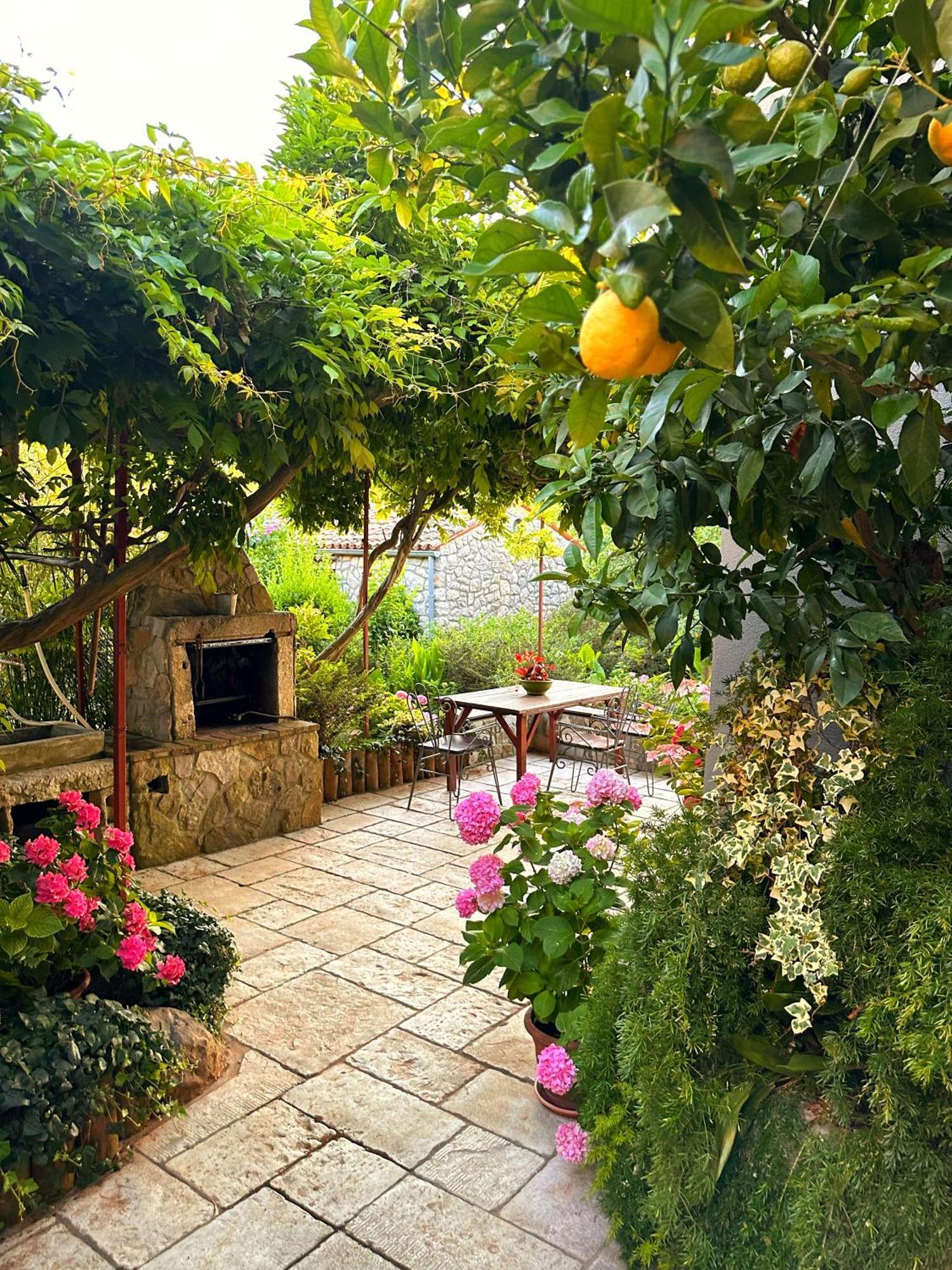 וולי לוסיניי Apartments Cvita מראה חיצוני תמונה