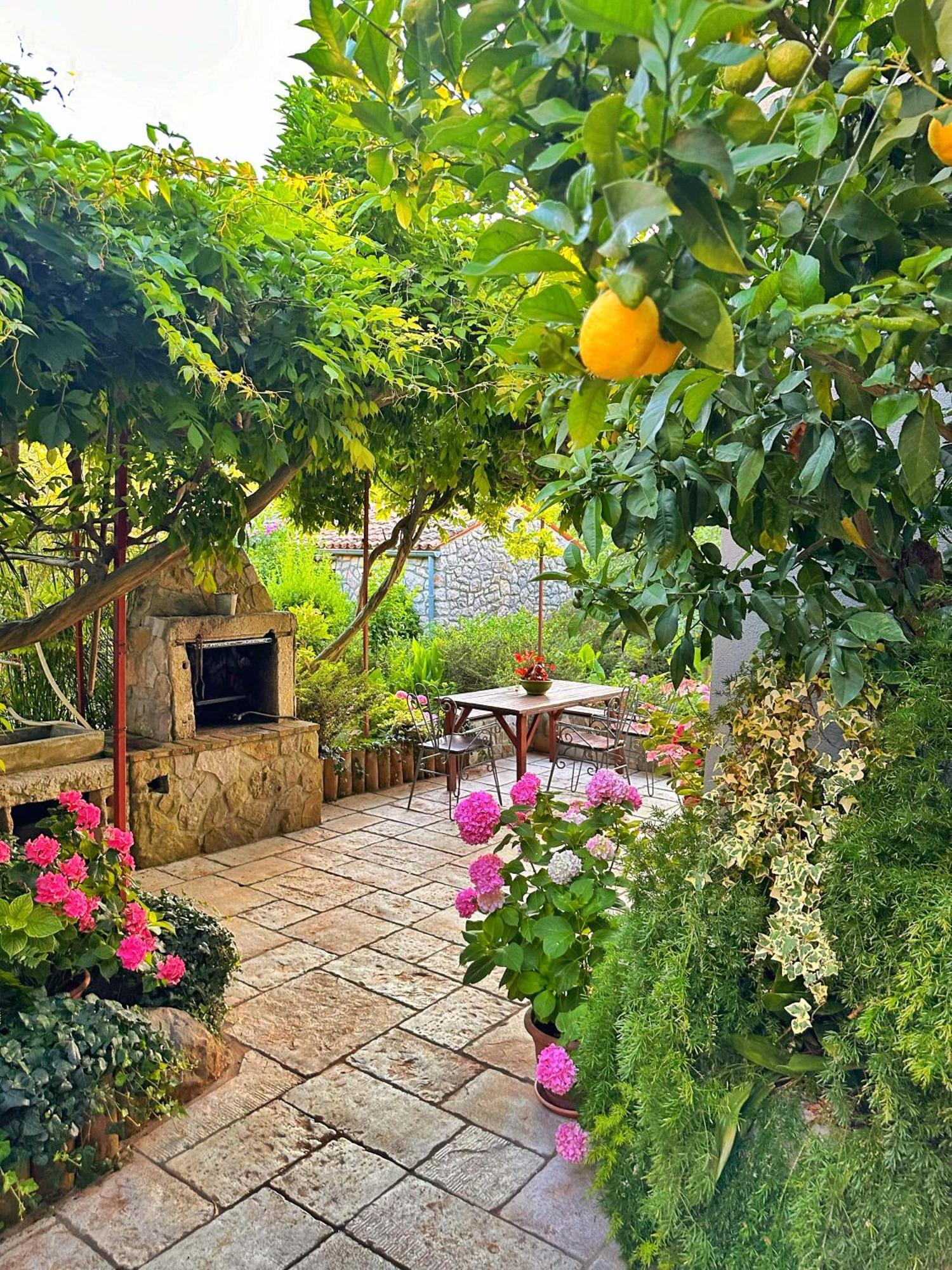 וולי לוסיניי Apartments Cvita מראה חיצוני תמונה