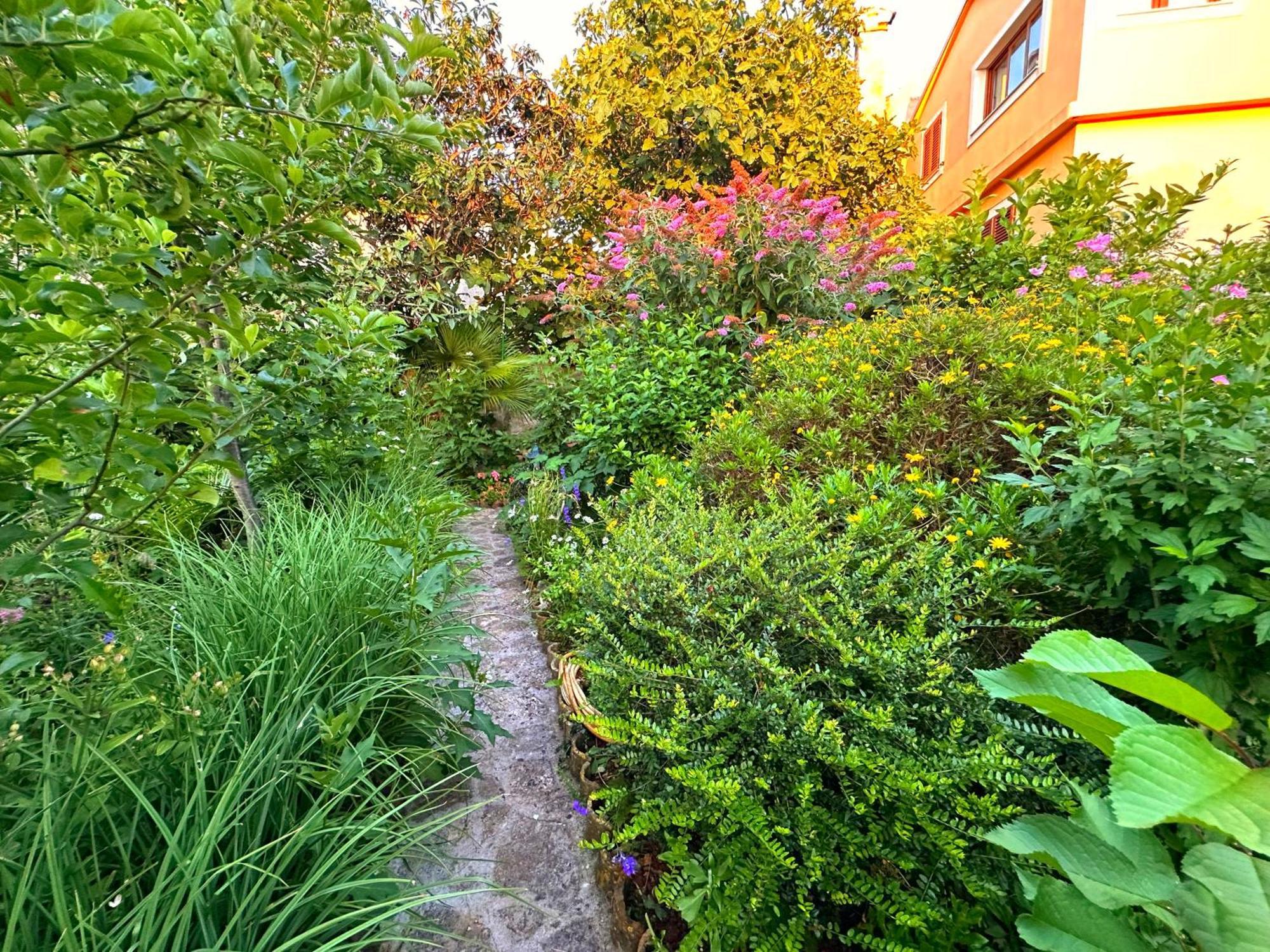 וולי לוסיניי Apartments Cvita מראה חיצוני תמונה