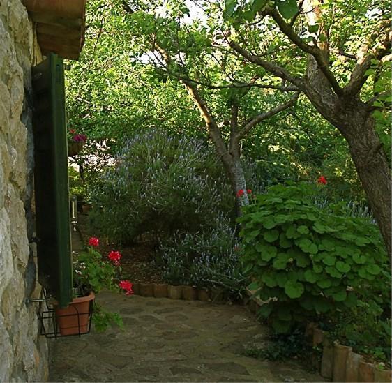 וולי לוסיניי Apartments Cvita מראה חיצוני תמונה
